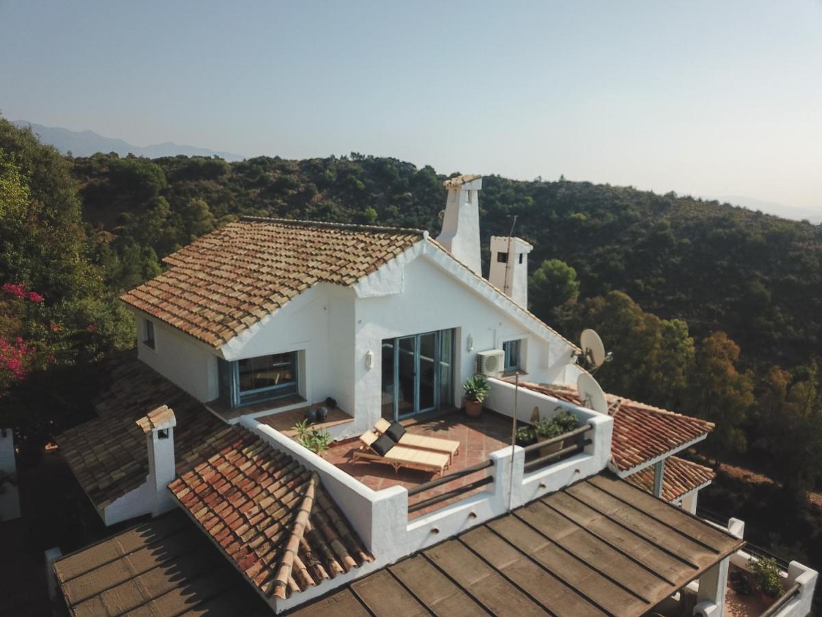 Muse Guest house 4*