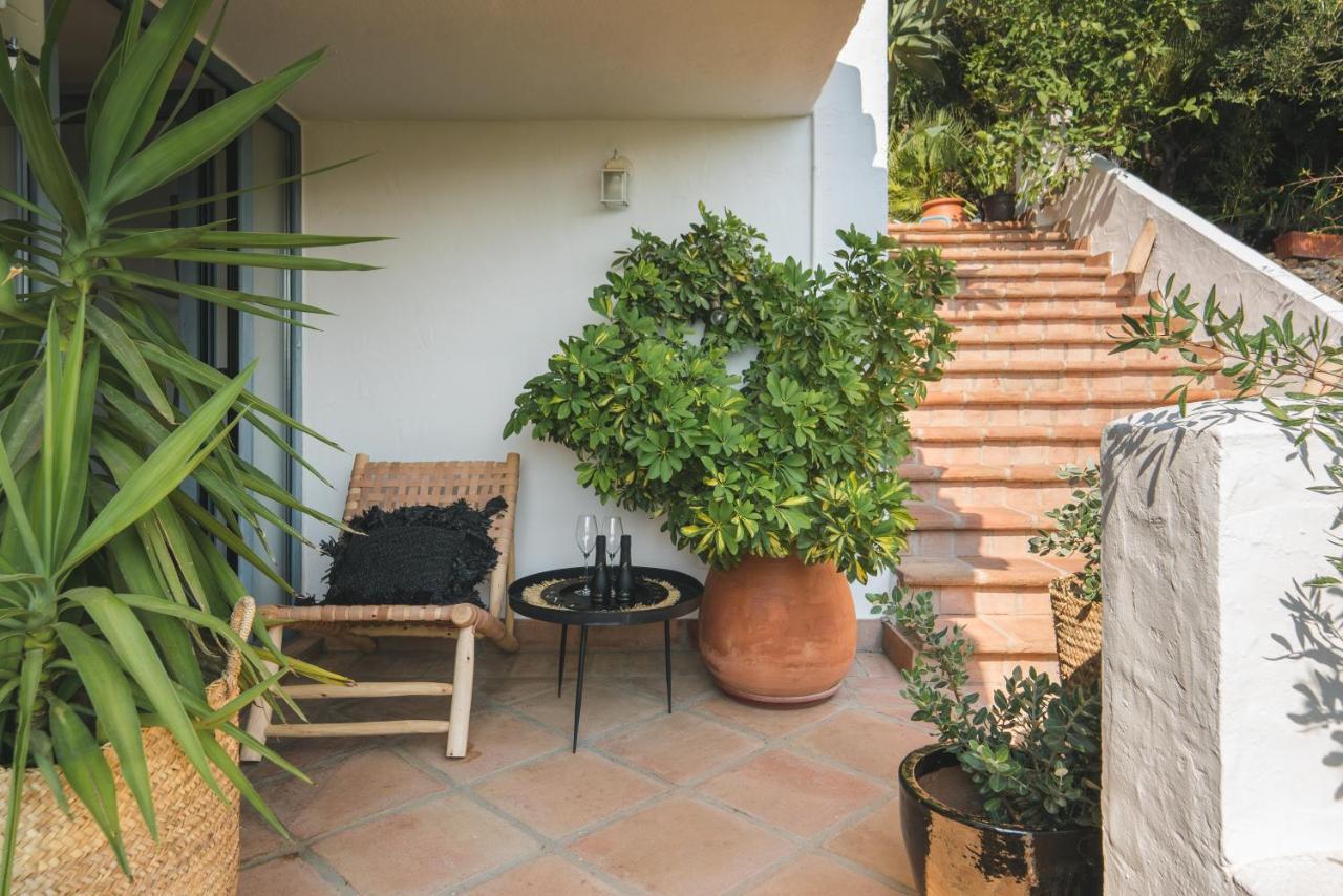 Guest house Muse 4*